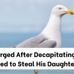 New Jersey Man Charged After Decapitating Seagull That Tried to Steal His Daughter’s Fries